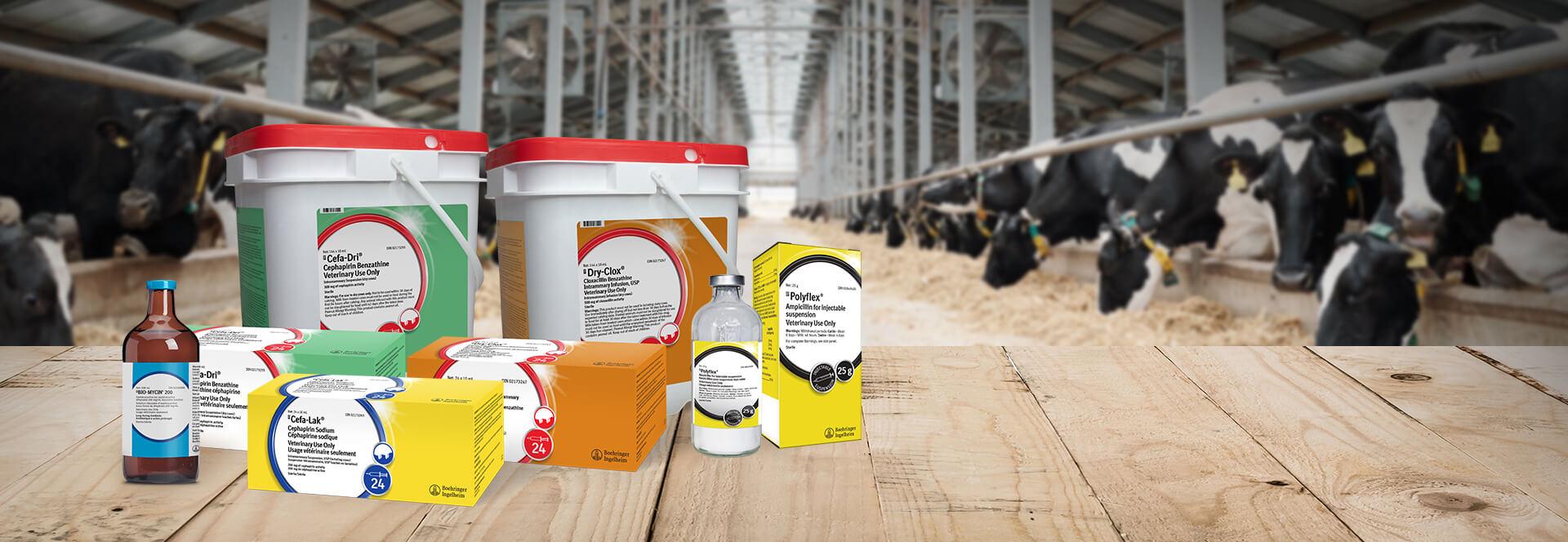 Antimicrobials Banner