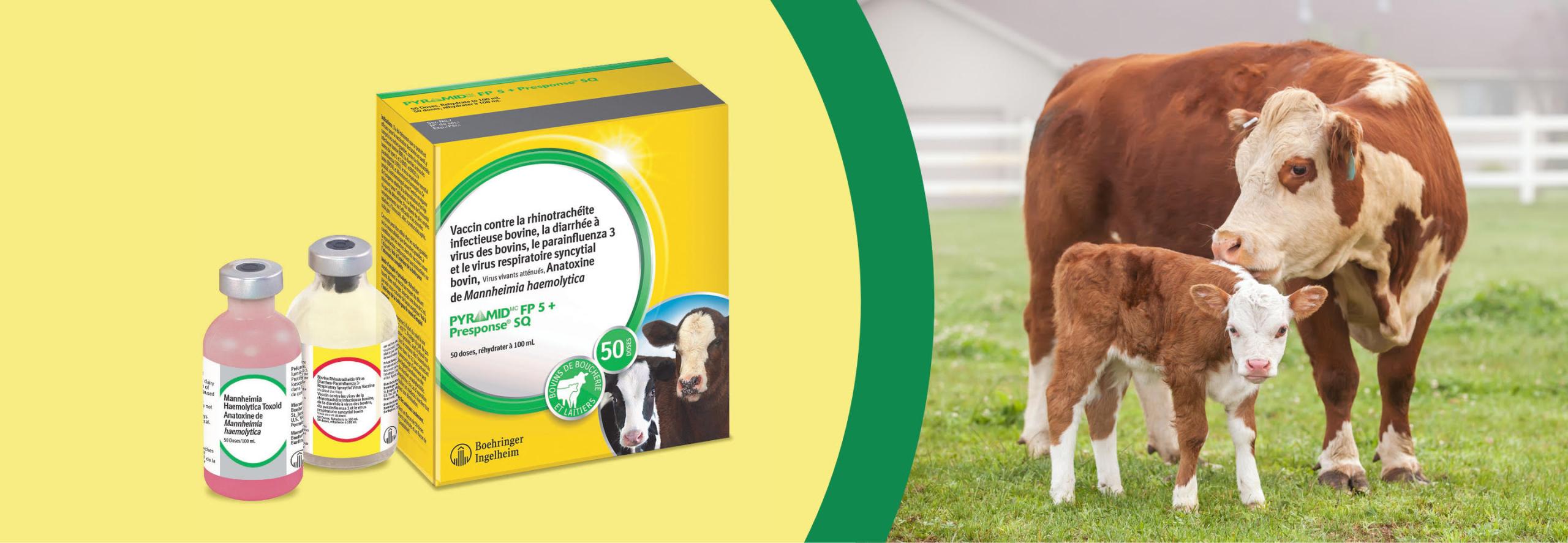 Pyramid FP5 + Presponse SQ banner