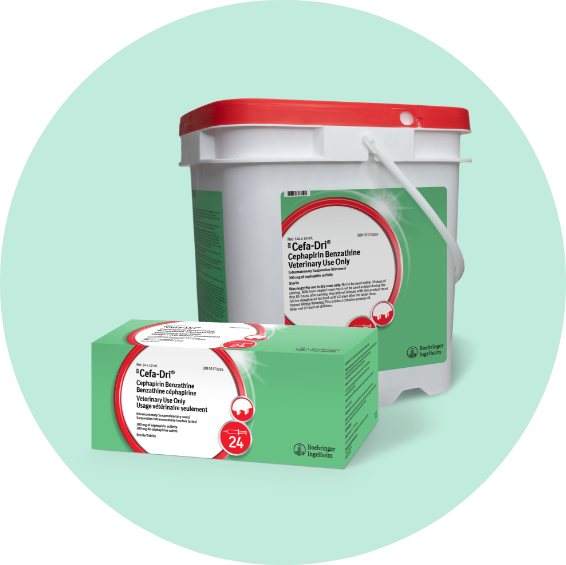 Cefa Dri Product - English