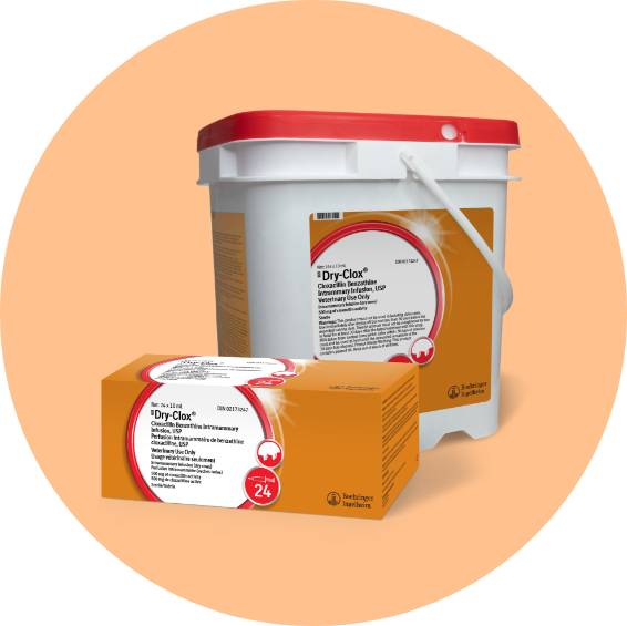 Dry Clox Product - English