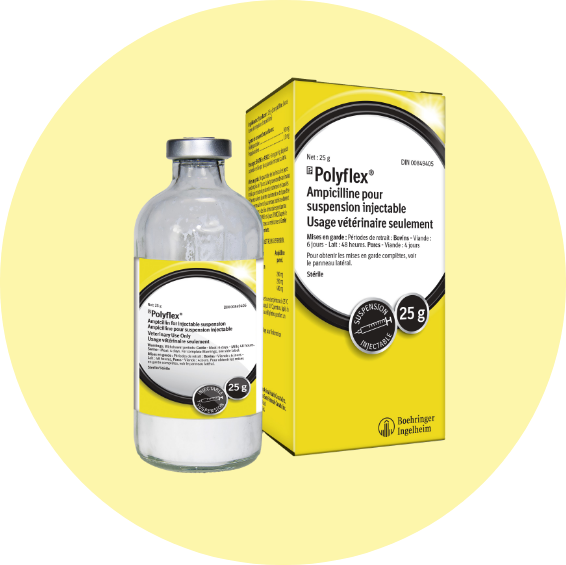 French Polyflex product label