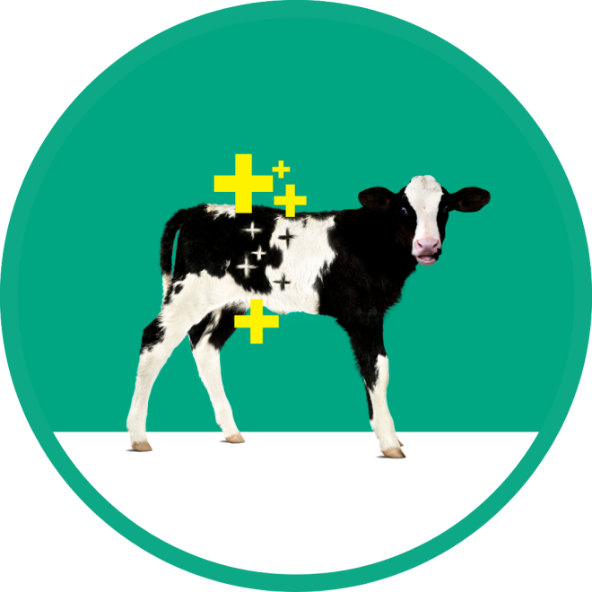 Diakur Plus - Electrolyte Solution