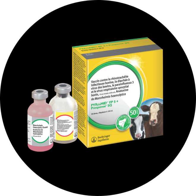 Pyramid FP5 Presponse SQ label FR