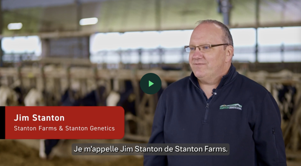 Jim Stanton Testimonial